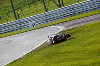 anglesey;brands-hatch;cadwell-park;croft;donington-park;enduro-digital-images;event-digital-images;eventdigitalimages;mallory;no-limits;oulton-park;peter-wileman-photography;racing-digital-images;silverstone;snetterton;trackday-digital-images;trackday-photos;vmcc-banbury-run;welsh-2-day-enduro